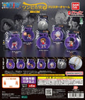 One Piece Devil Fruit Miniature Pendant