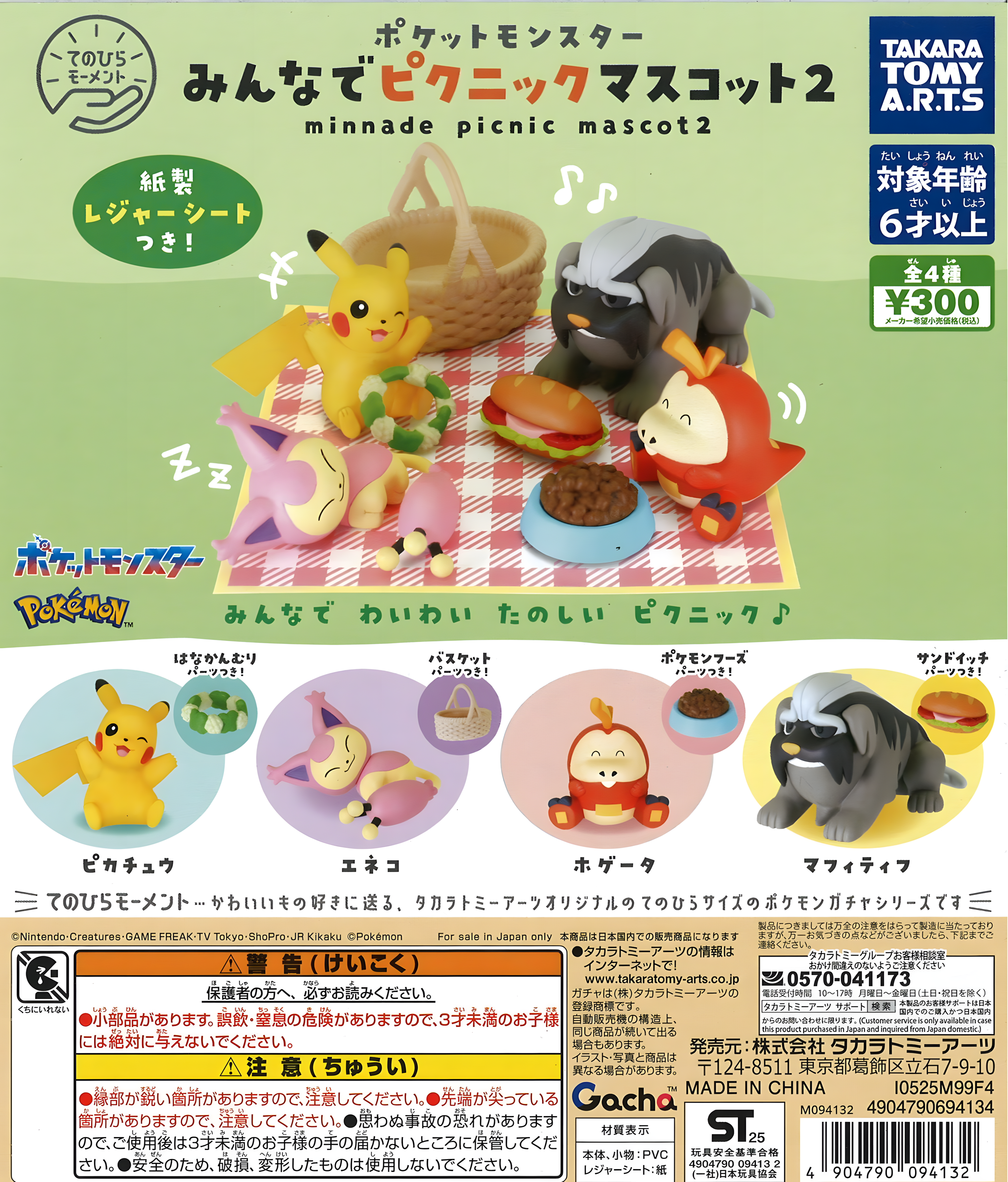 Pokémon Picnic 2.ª Edición