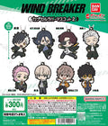 Wind Breaker Rubber Pet 2