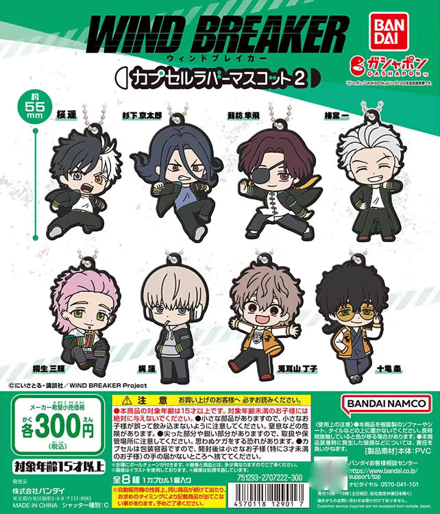 Wind Breaker Rubber Pet 2